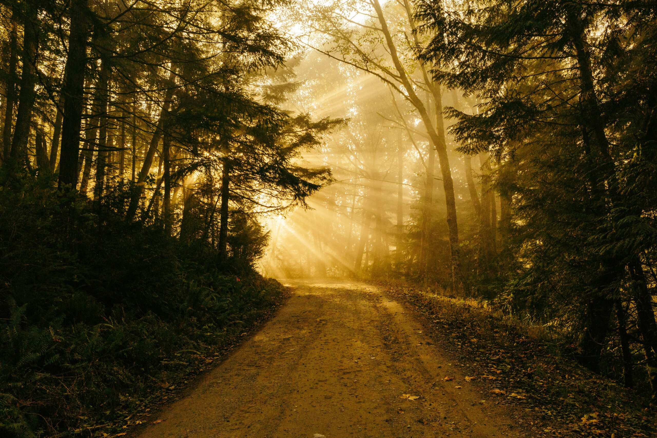 How to Tap Into the Life-Changing Power of Gratitude